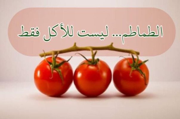 الطماطم… كيف تستخدمها في تنظيم وقتك؟